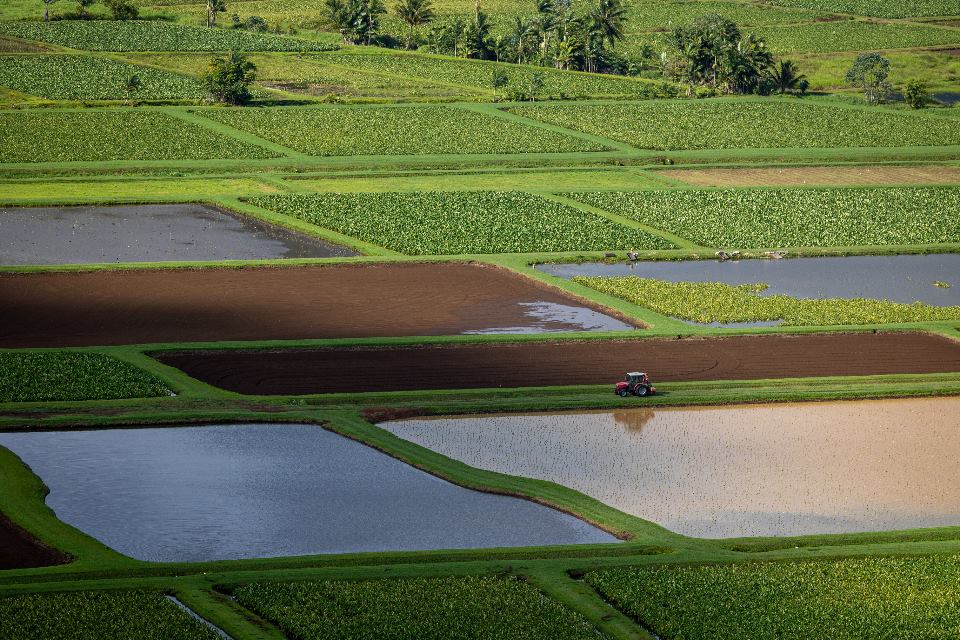 Aerial view of subdivided land parcels illustrating the gap between land price and land value.