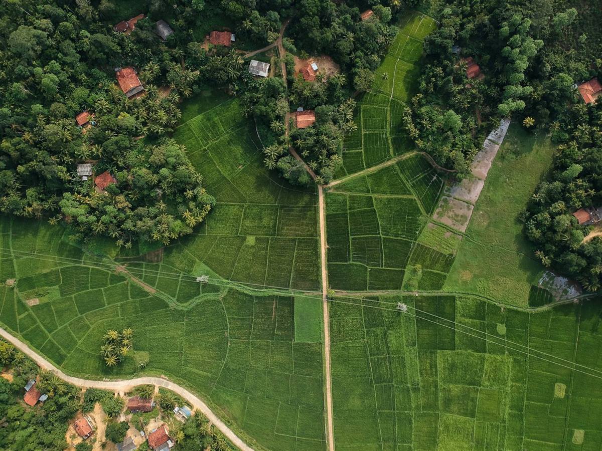 Aerial view of subdivided land plots on the edge of a city