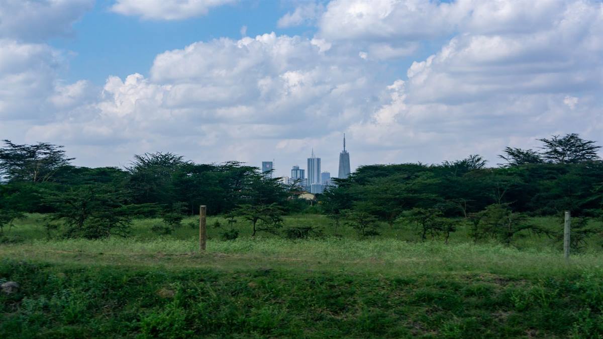 The Nairobi skyline seen across open grassland